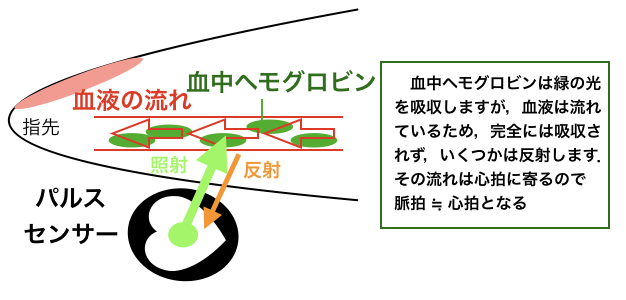 Arduinoと心拍センサーを使って生体信号である脈拍を計測してみる