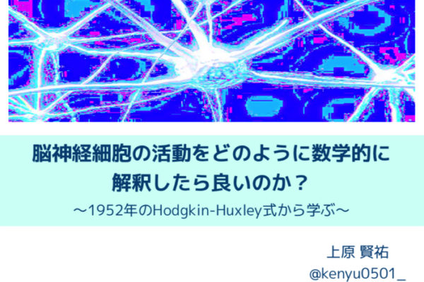 脳神経細胞の活動を数学的に書くHodgkin-Huxleyモデルについて