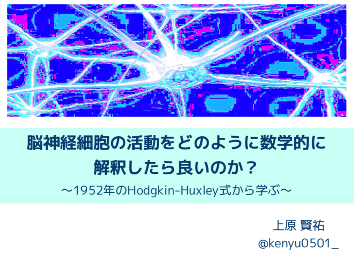 脳神経細胞の活動を数学的に書くHodgkin-Huxleyモデルについて