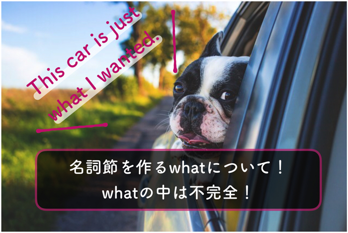 英文法 名詞節を作るwhatについて考える Whatの中は不完全 関係代名詞